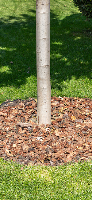 Gartenmulch – RETERRA Erden Gartenmulch – RETERRA Erden