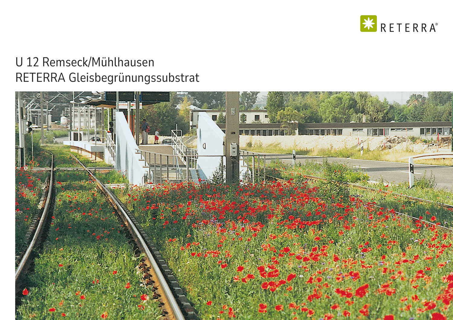 RETERRA-Remseck-Muehlhausen-Gleisbegruenung-1