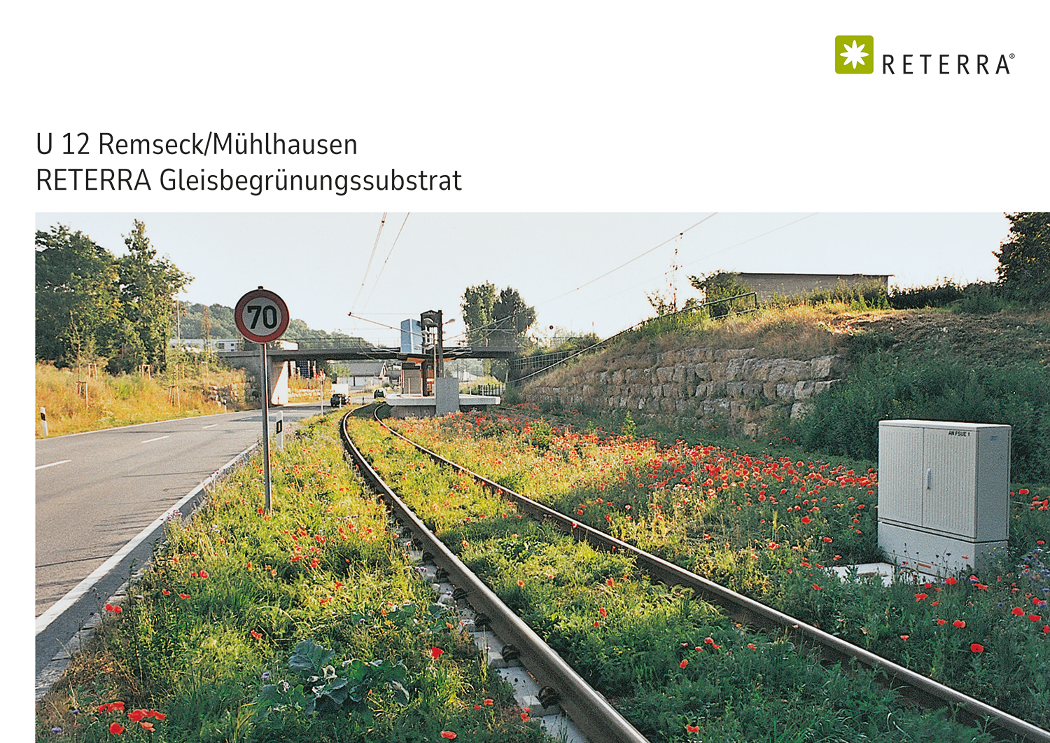 RETERRA-Remseck-Muehlhausen-Gleisbegruenung-2