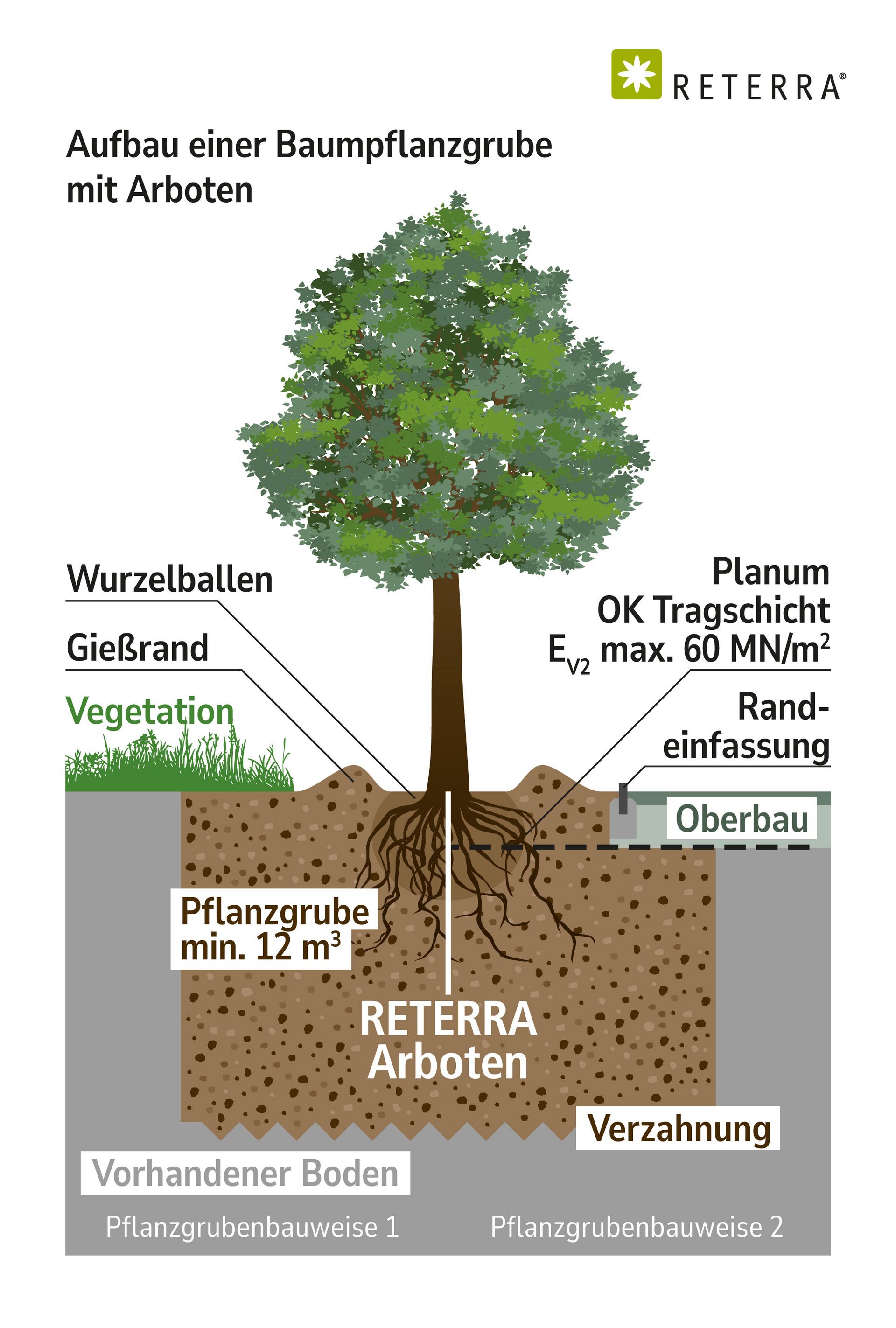 RETERRA Arboten Baumpflanzgrube Skizze