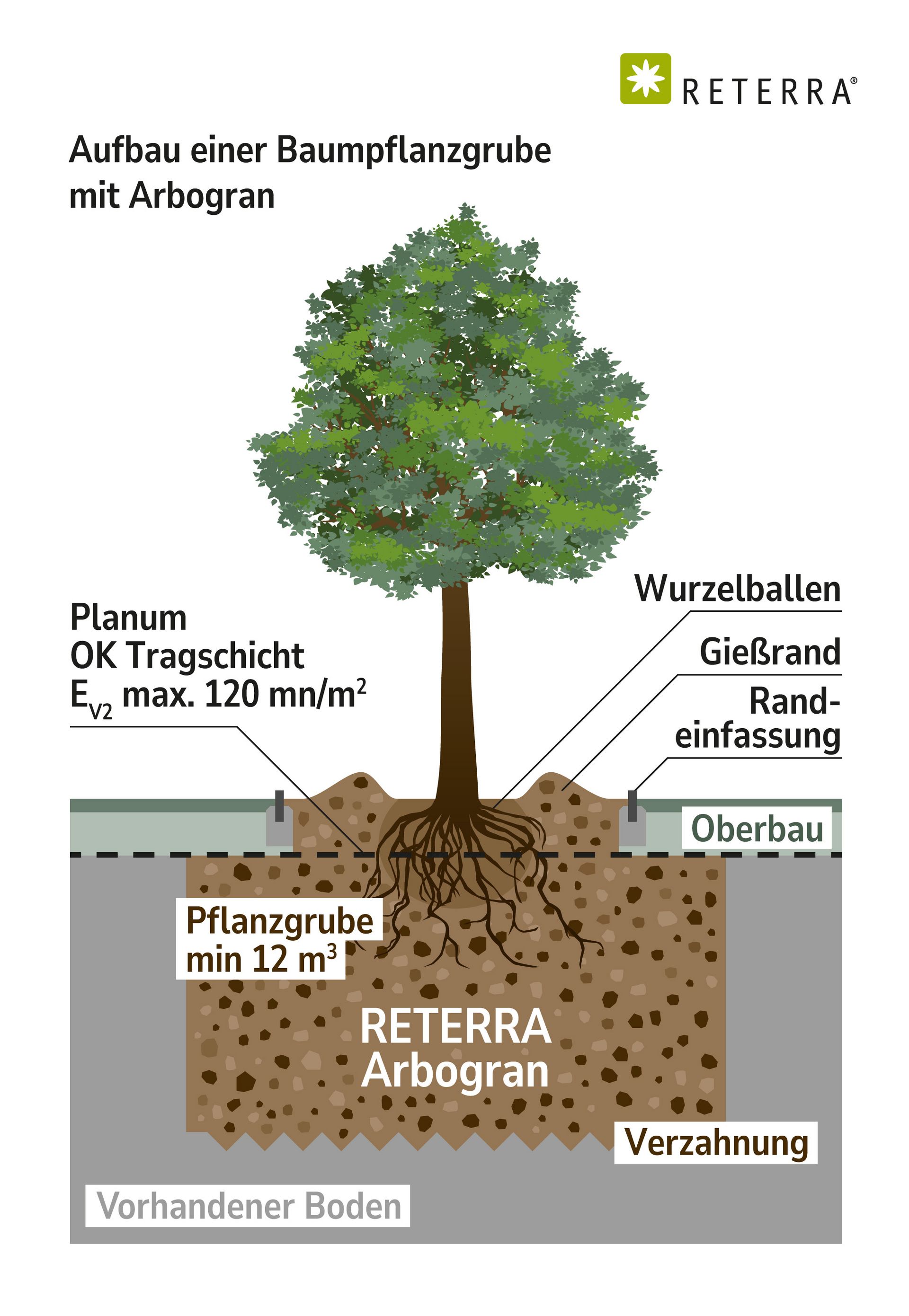 RETERRA Arbogran Baumpflanzgrube Skizze